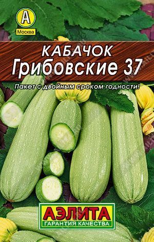 Кабачок белоплодный Грибовские