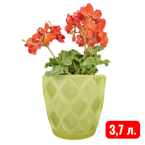 мираж папоротник 3,7 л