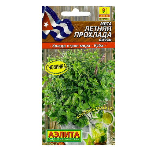 мята летняя прохлада