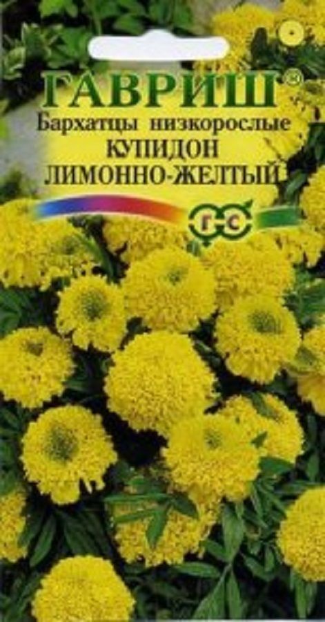 Нет