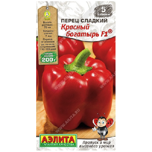 image-Photoroom (37)-Photoroom (37)