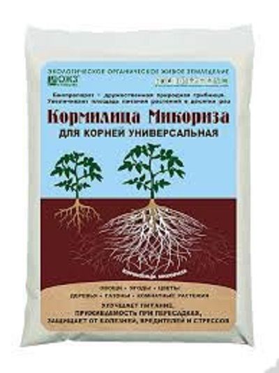 Нет