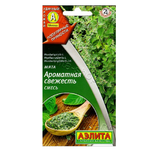 мята Ароматная