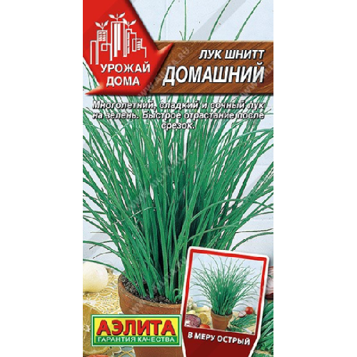 image-Photoroom (37)-Photoroom (35)