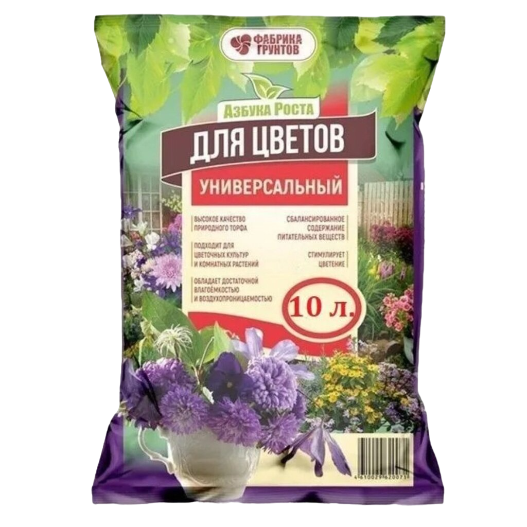универ 10
