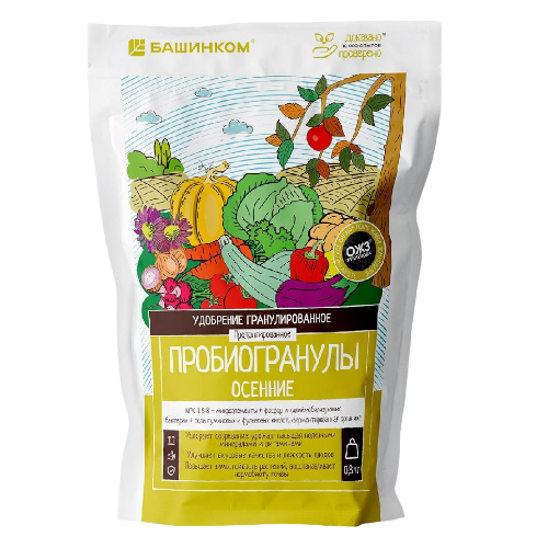 гуми оми осеннее-Photoroom