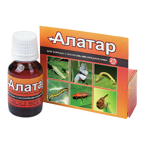 алатар 25-Photoroom (1)