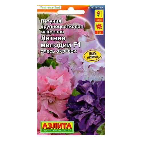 Петуния летние мелодии