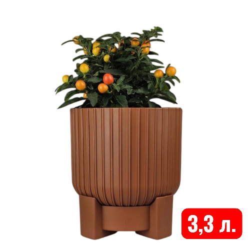 торин терракот 3,3 л