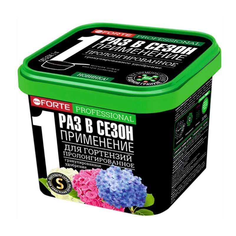 гортензия ведро