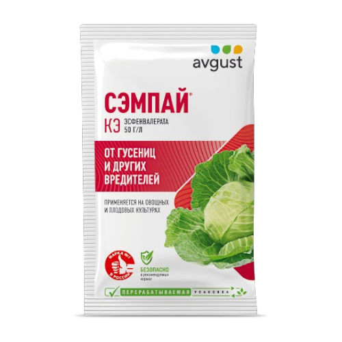 сэмпай -Photoroom