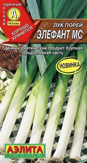 Лук порей Элефант