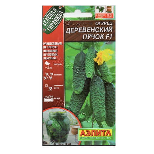 Огурец Деревекнский Пучок