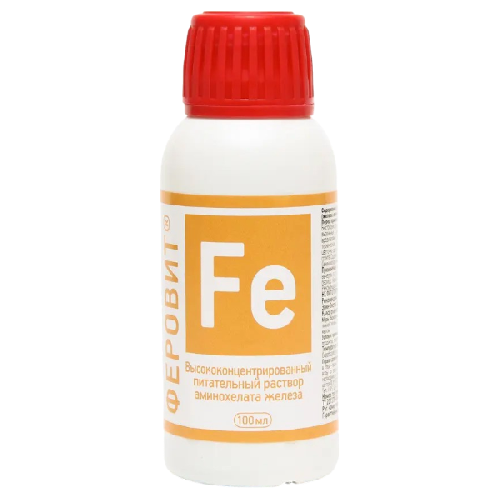 image-Photoroom (37)-Photoroom (12) — копия