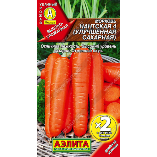 image-Photoroom (52)