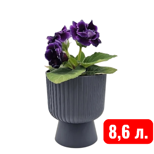 Беккер антрацид 8,6
