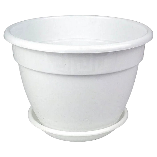 image-Photoroom (16)