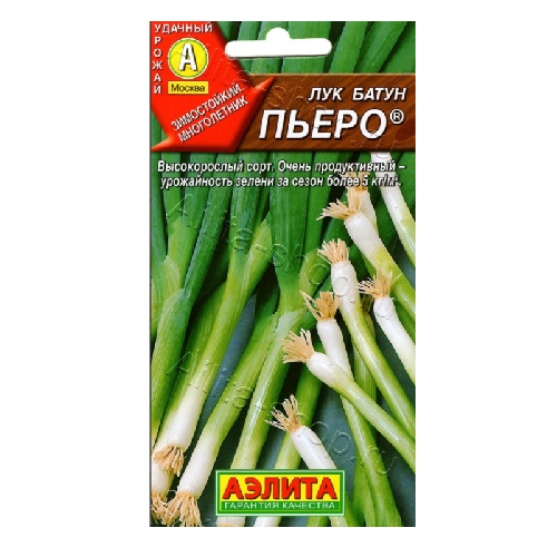 лук пьеро