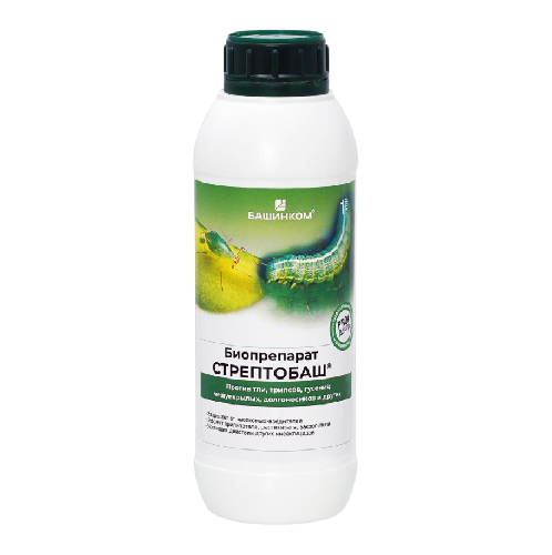 стрептобаш