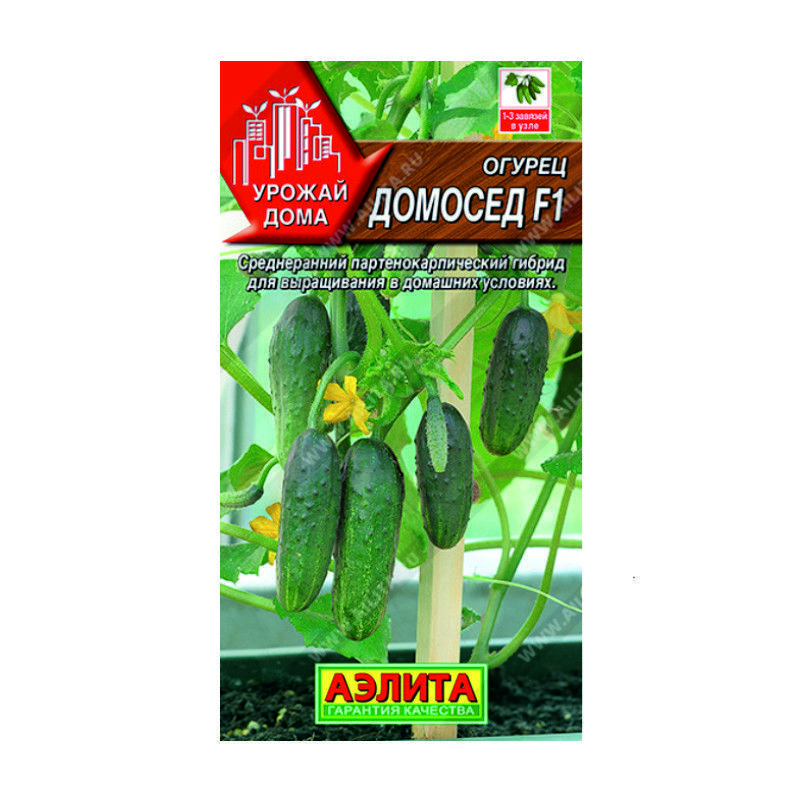 УТ-00087924