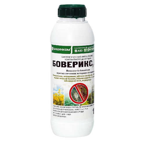 боверикс-Photoroom