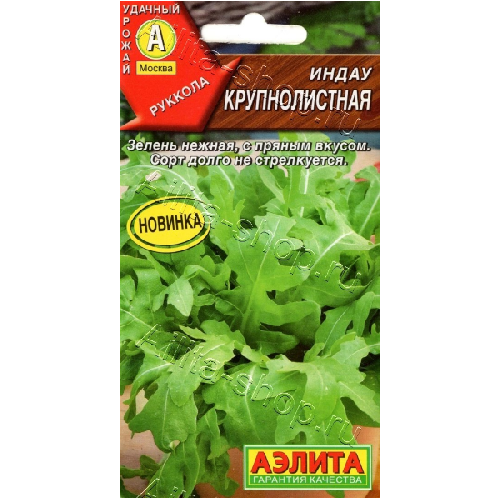 image-Photoroom-Photoroom (28)