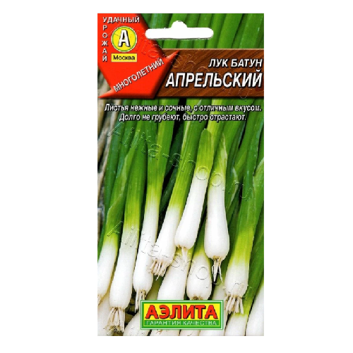 лук батун Апрельский