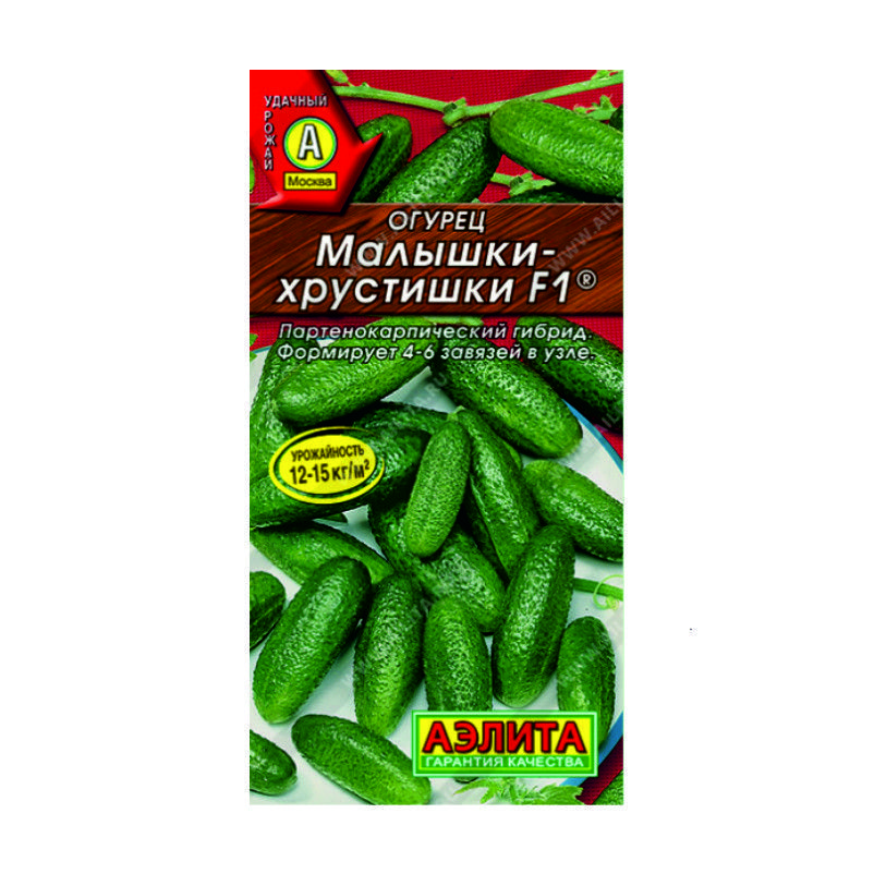 О0079907
