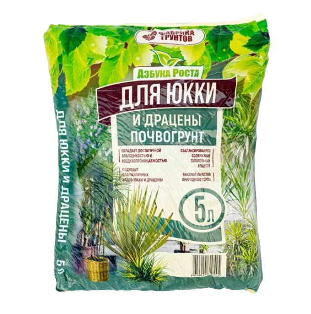юкка