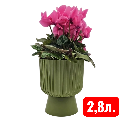 Беккер папор 2,8