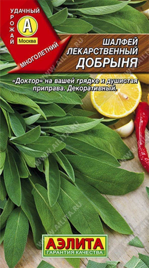Шалфей Семенами Цена