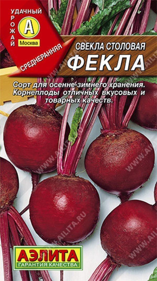 Купить Семена Свеклы Рафинад