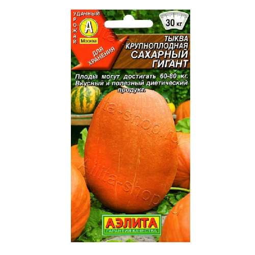 тыква сахарный гигинт