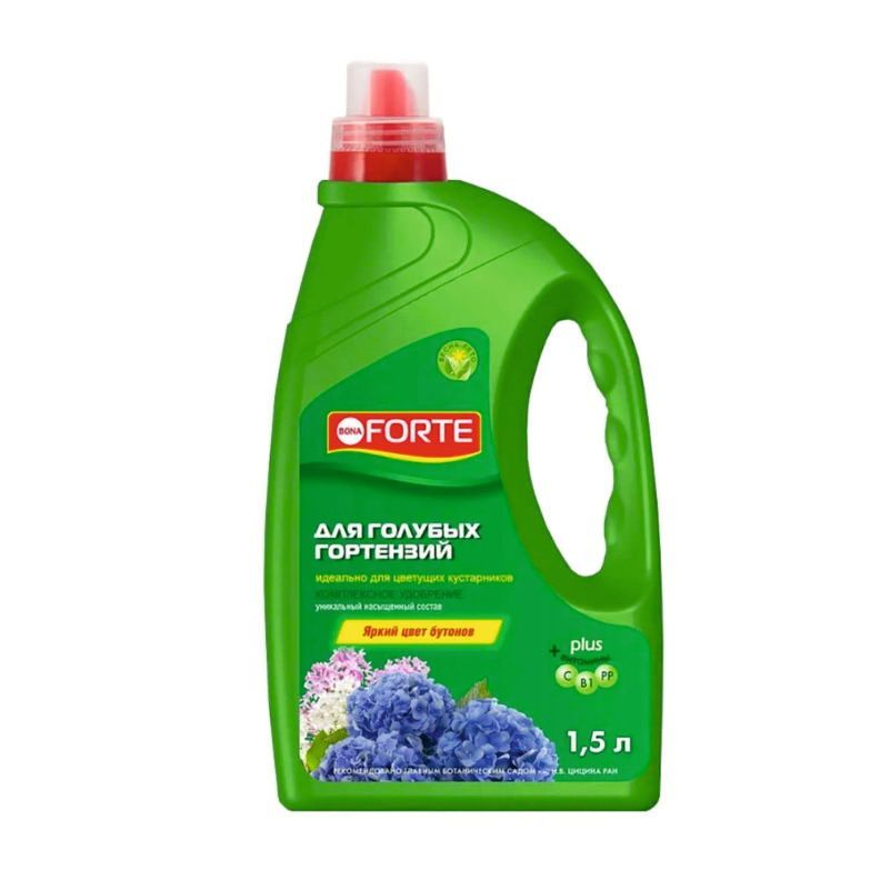 гортензии 1,5