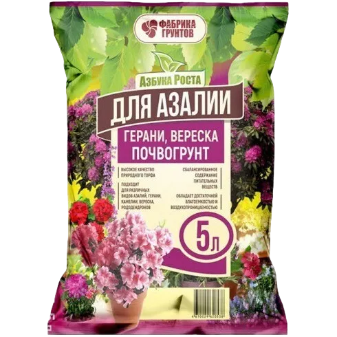 азалия