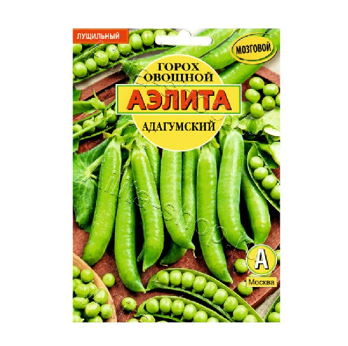 3305