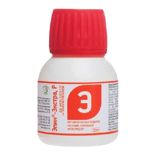 image-Photoroom (37)-Photoroom (7)