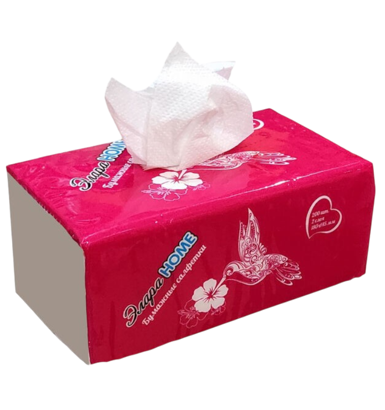 Элара HOME бумажные салфетки полет _2-Photoroom