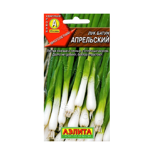 Лук батун Апрельский