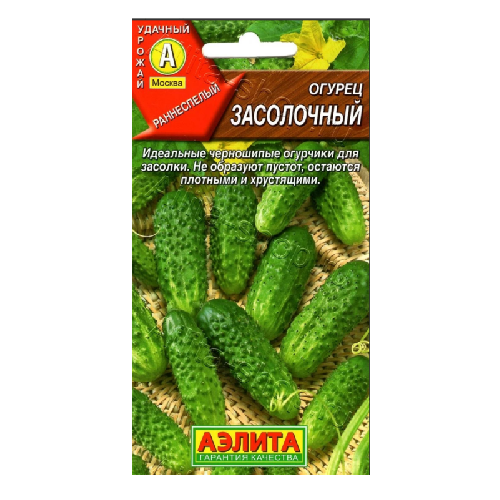 огурец засолочный