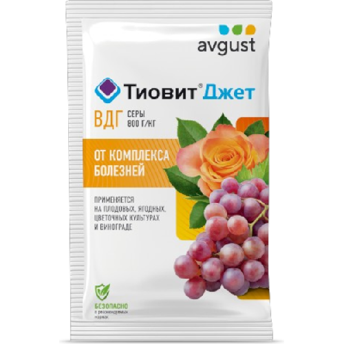 image-Photoroom (37)-Photoroom (45)