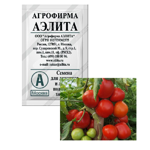 томат дубок БП