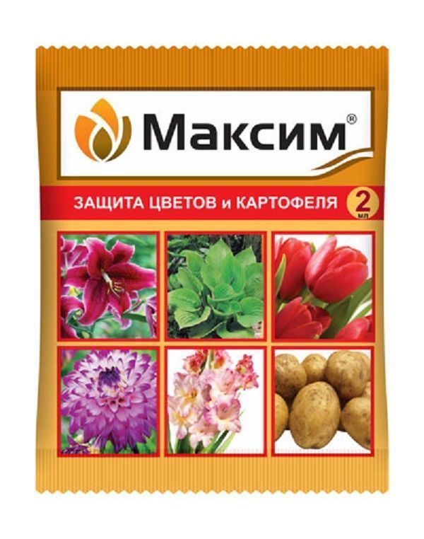 Нет