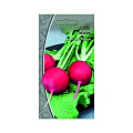 Сад, дача, огород